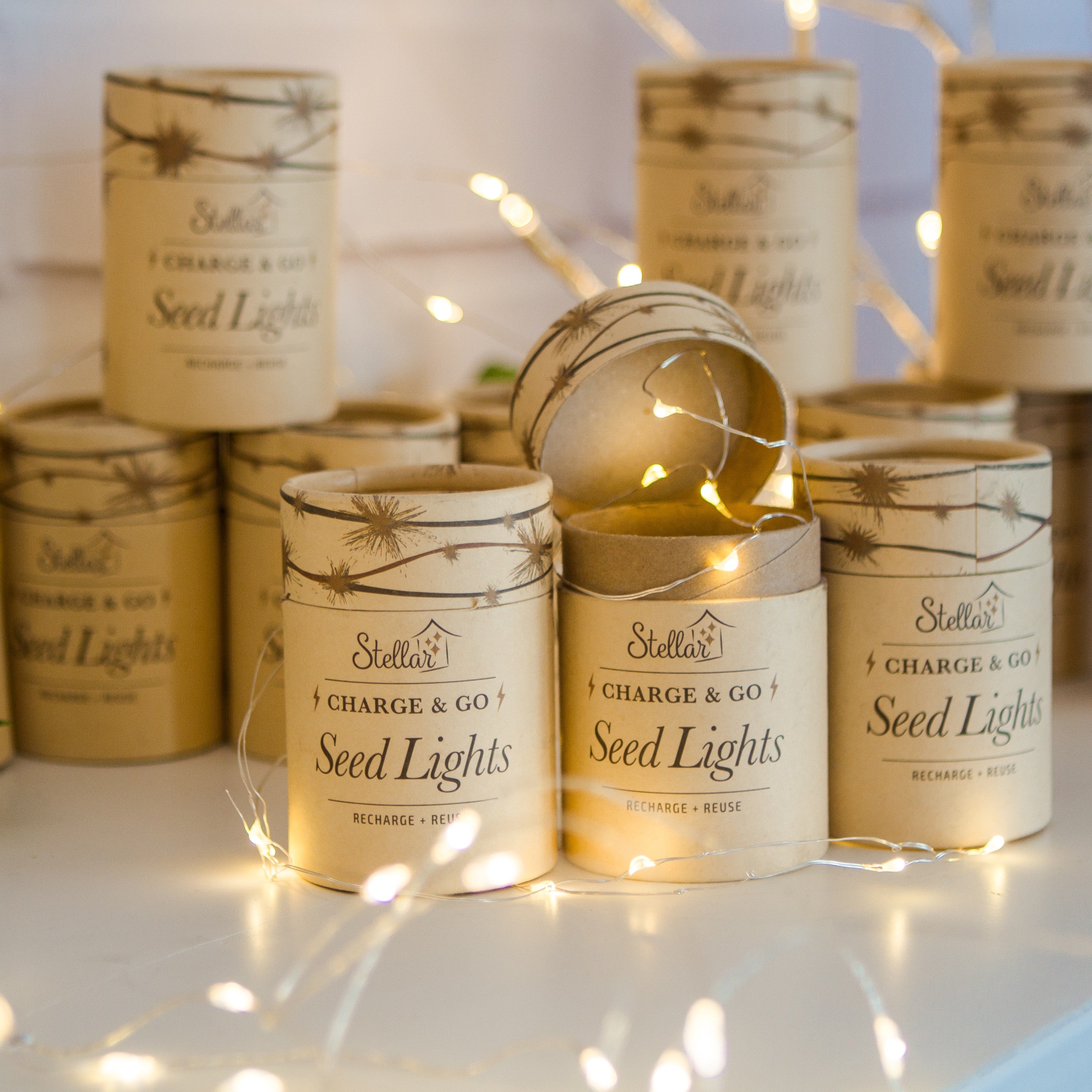 Charge & Go 3m Silver Wire Seed Lights