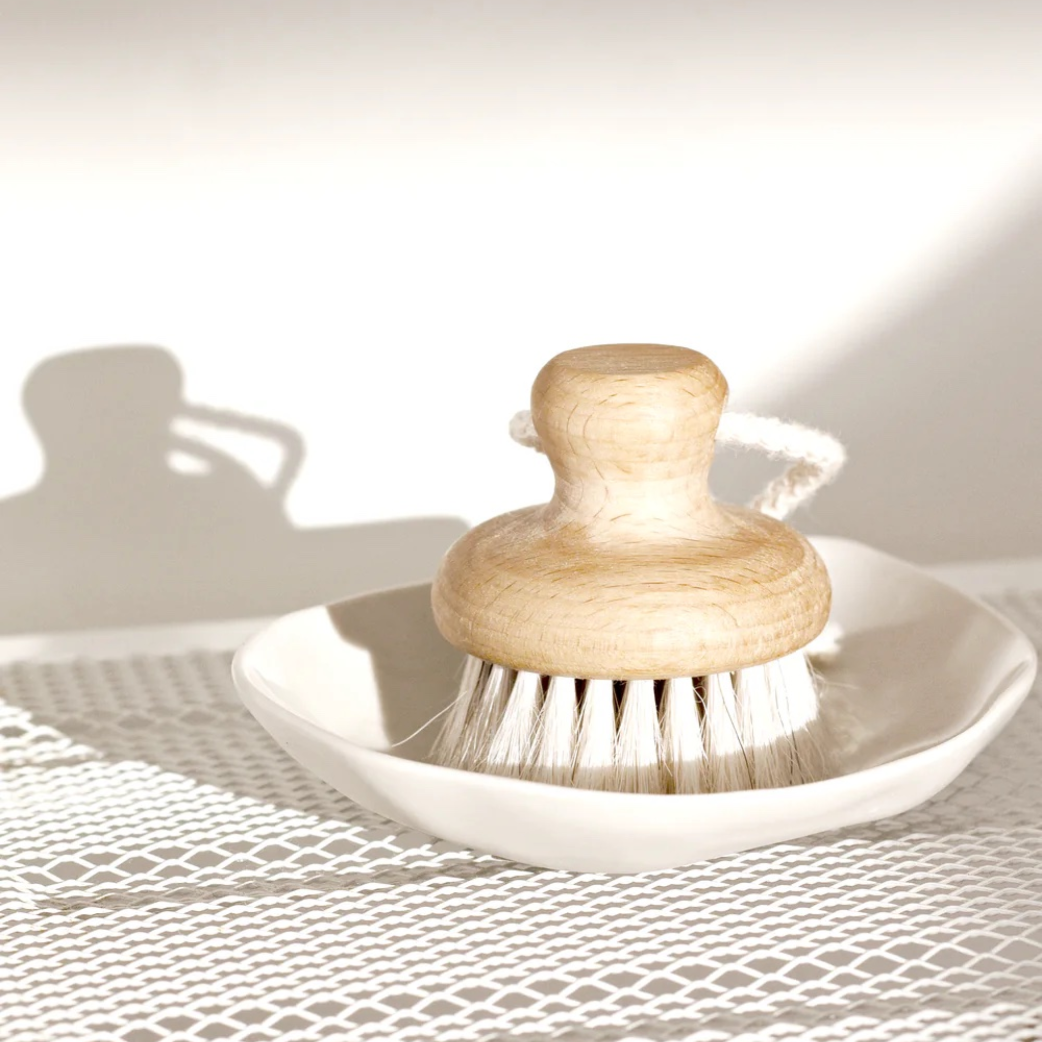 Face Brush