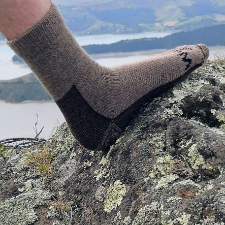 Wyld Casual Sock