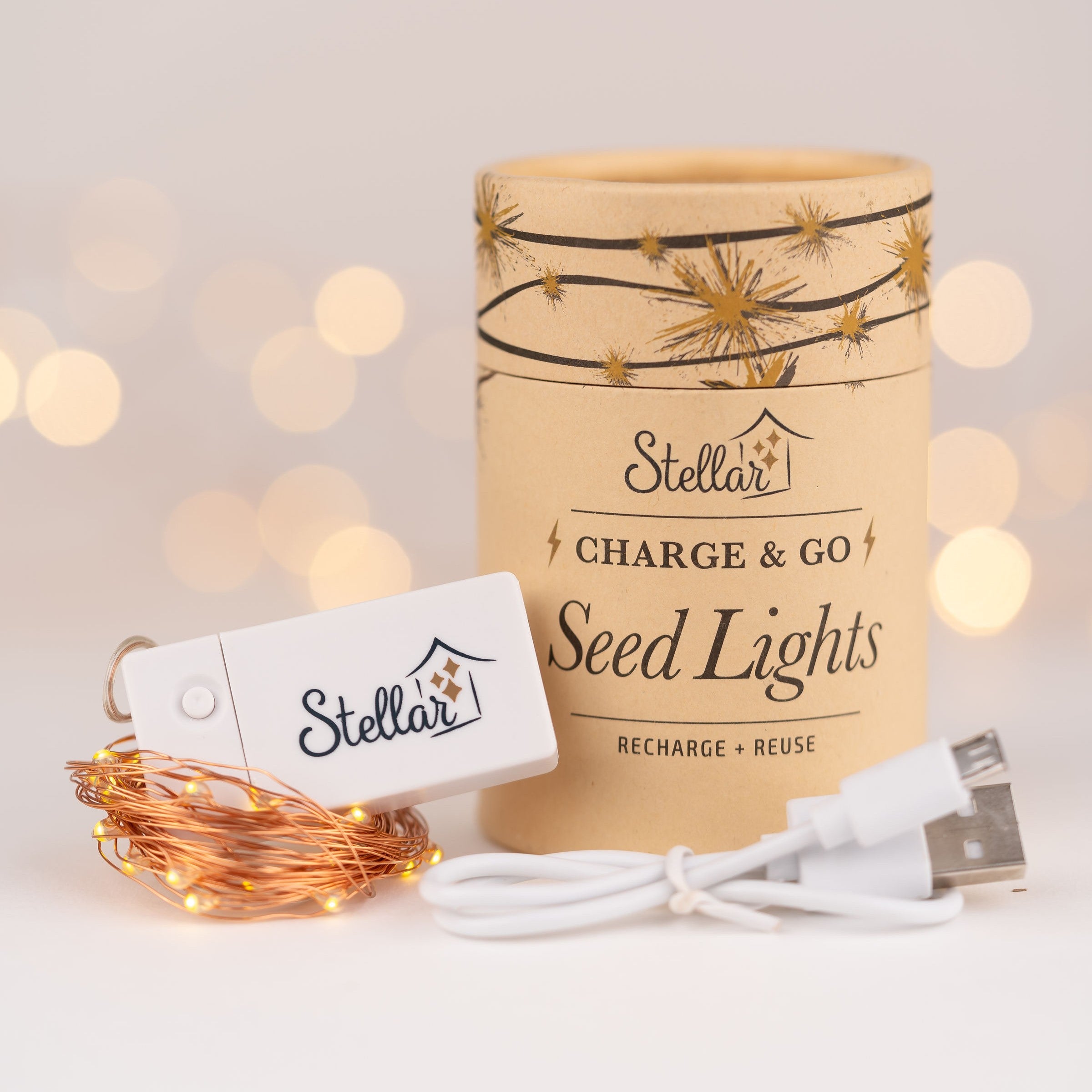 Charge & Go 3m Copper Wire Seed Lights