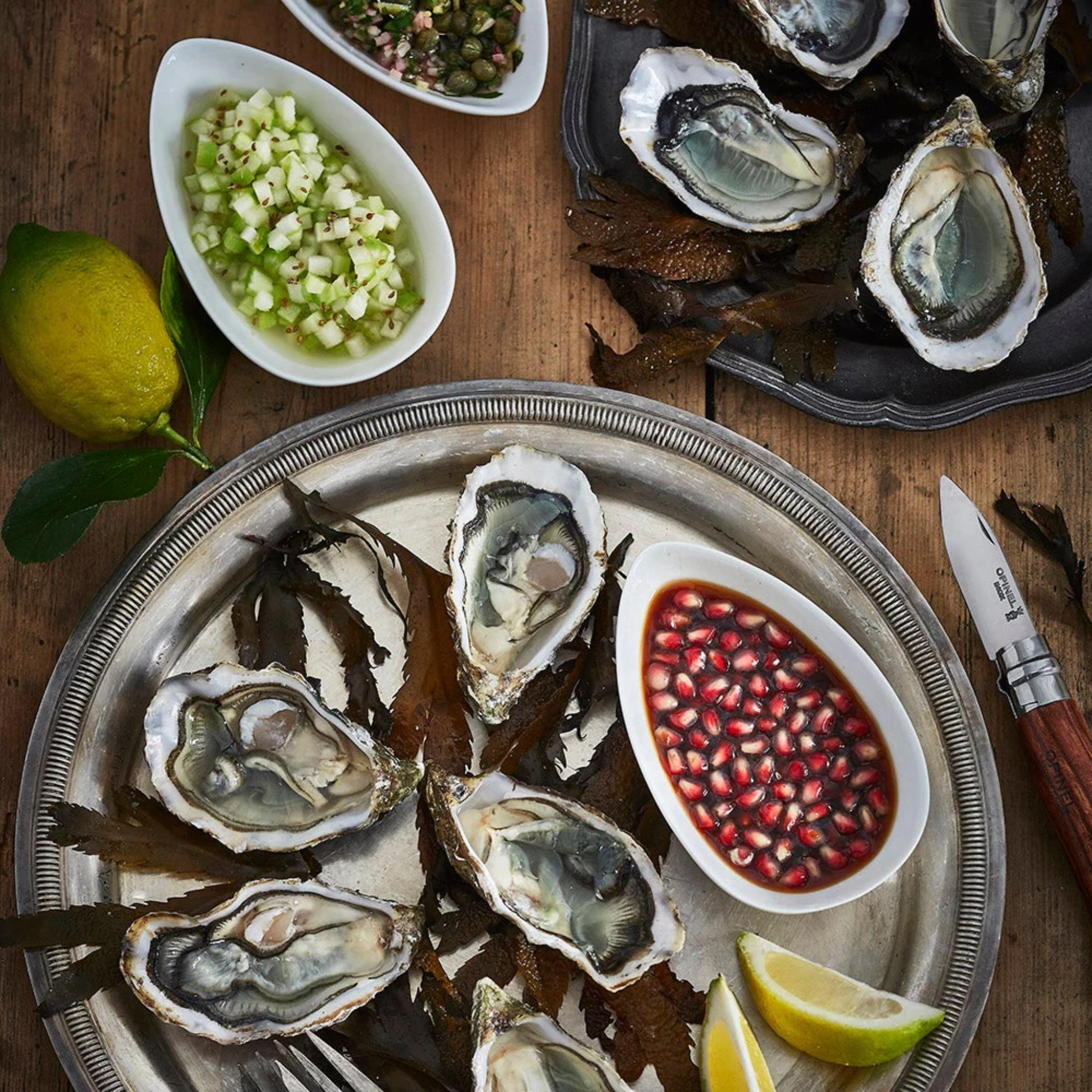 Opinel Oyster Shucking Knife