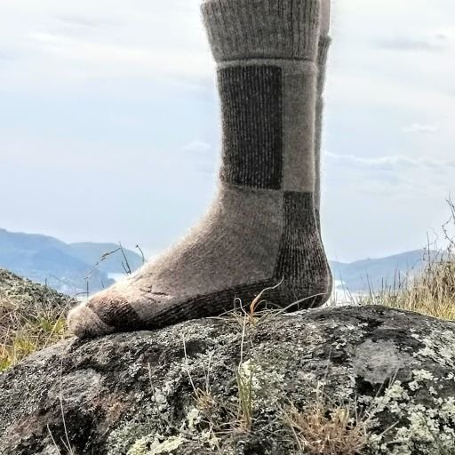 Wyld Boot Sock - Whatever We Like - 3 - 6 - 